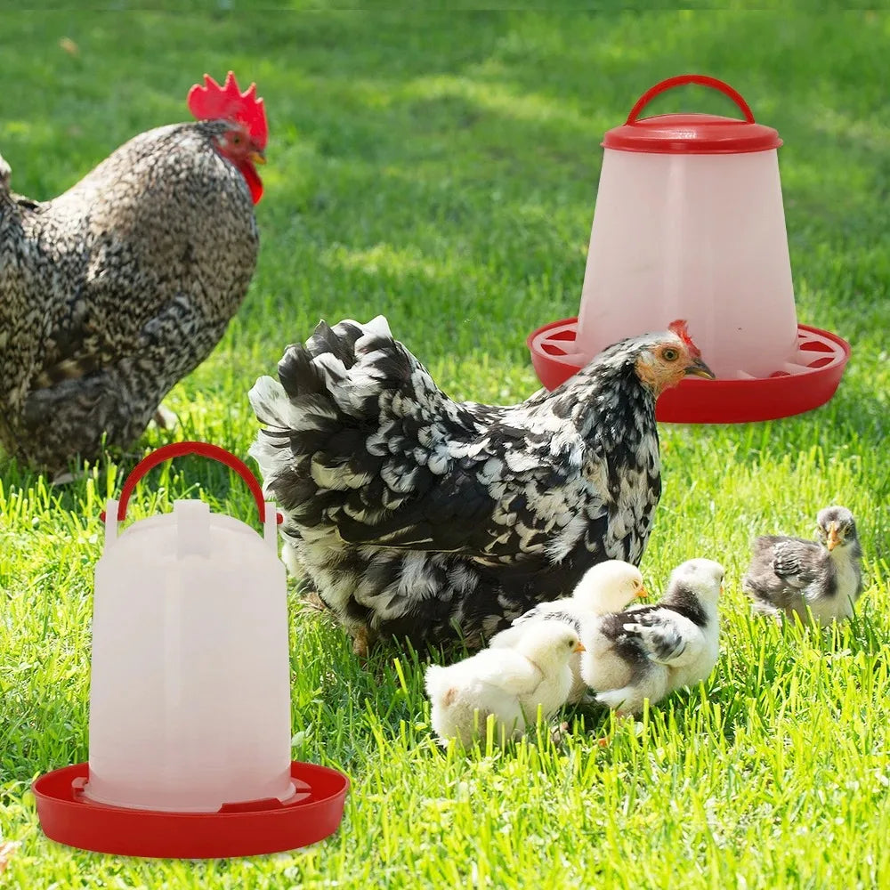 Automatic Chicken Feeder & Waterer