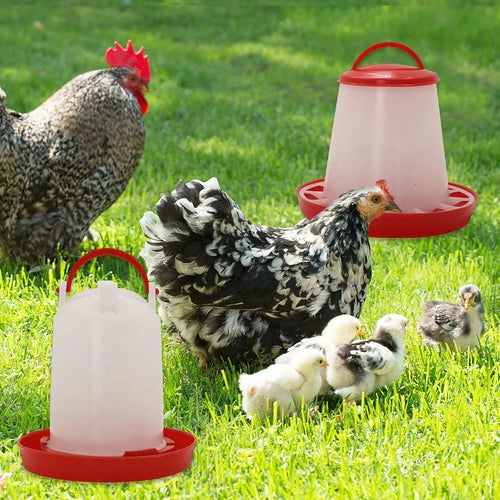Automatic Chicken Feeder & Waterer