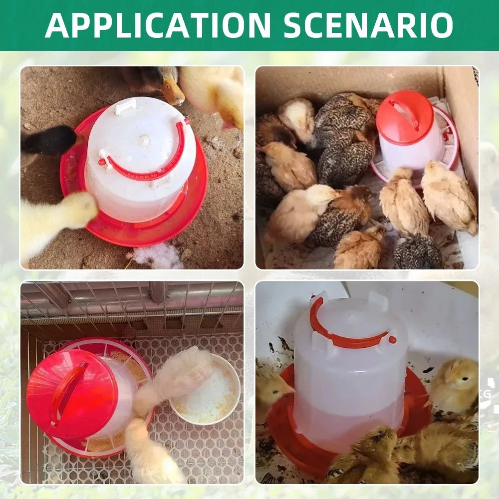 Automatic Chicken Feeder & Waterer