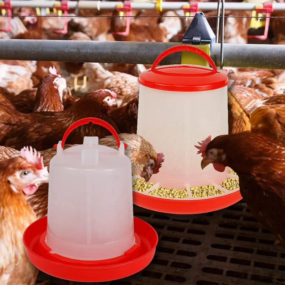 Automatic Chicken Feeder & Waterer