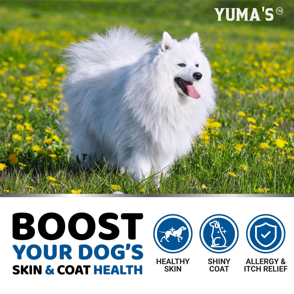 Omega-3 Fish Oil Chews for Dogs | Skin & Coat Support | 170 Soft Chews