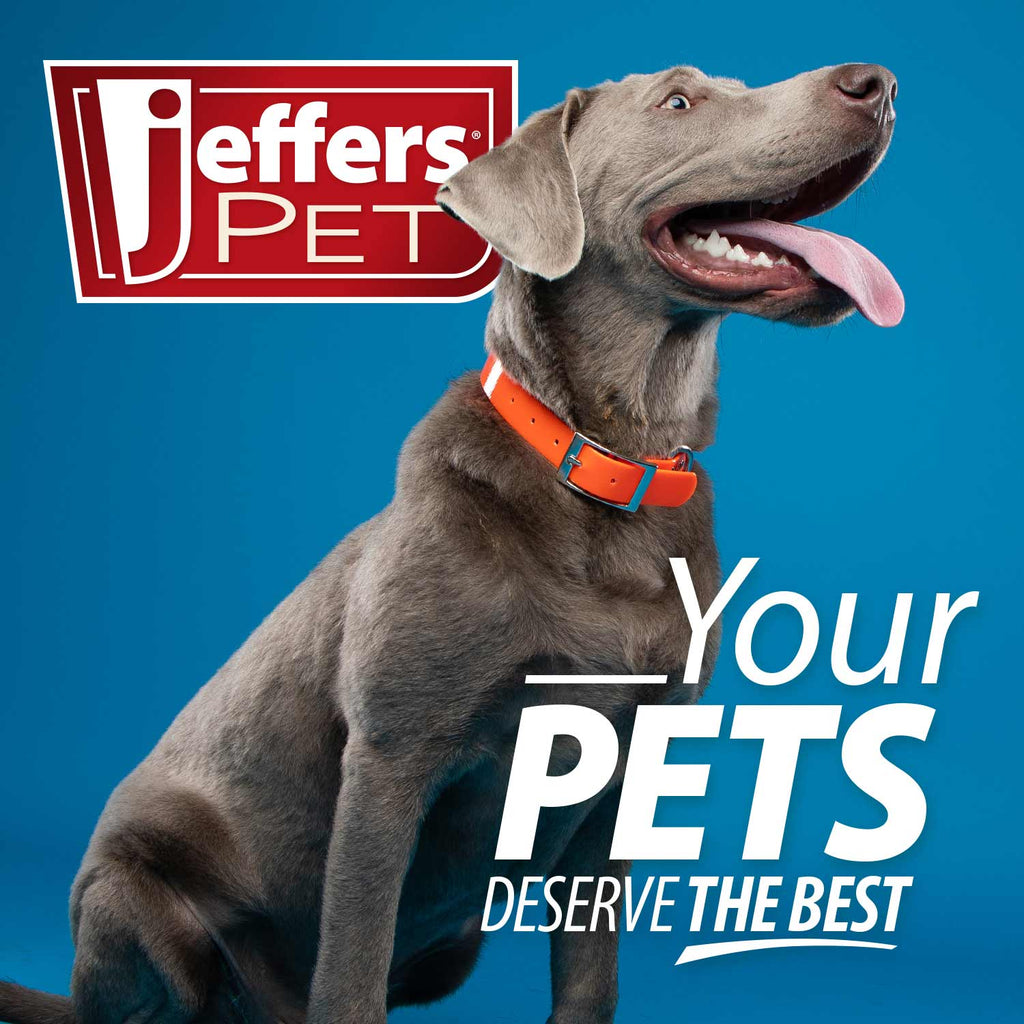 Jeffers Flat Back Pet Grooming Combs