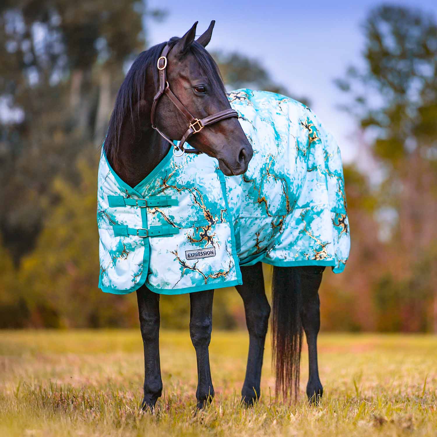 Jeffers Expression 1200 Denier Standard Neck Horse Turnout Sheet, 0 Gram
