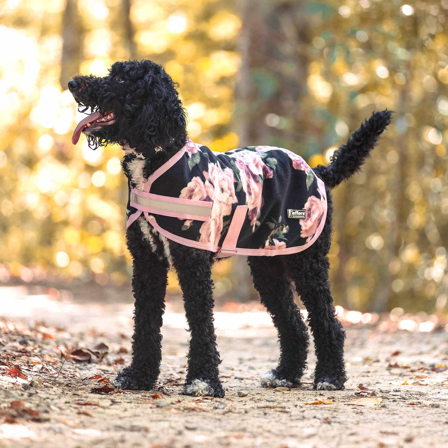 Jeffers Expression Moisture-Wicking Fleece Dog Coat