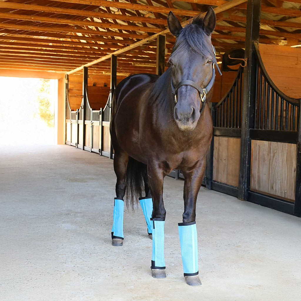 Jeffers Romper Stomper "Stomp-Free" Fly Boots for Horses, 4 pack